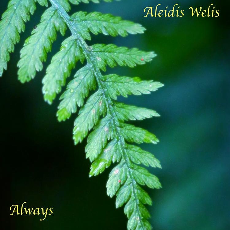 Aleidis Welis's avatar image