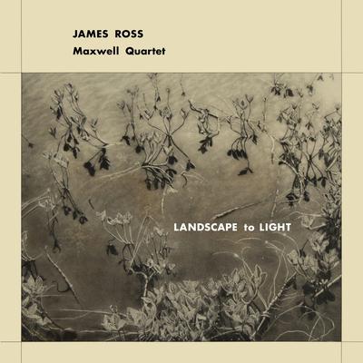 Landscape to Light By James Ross, Maxwell Quartet's cover