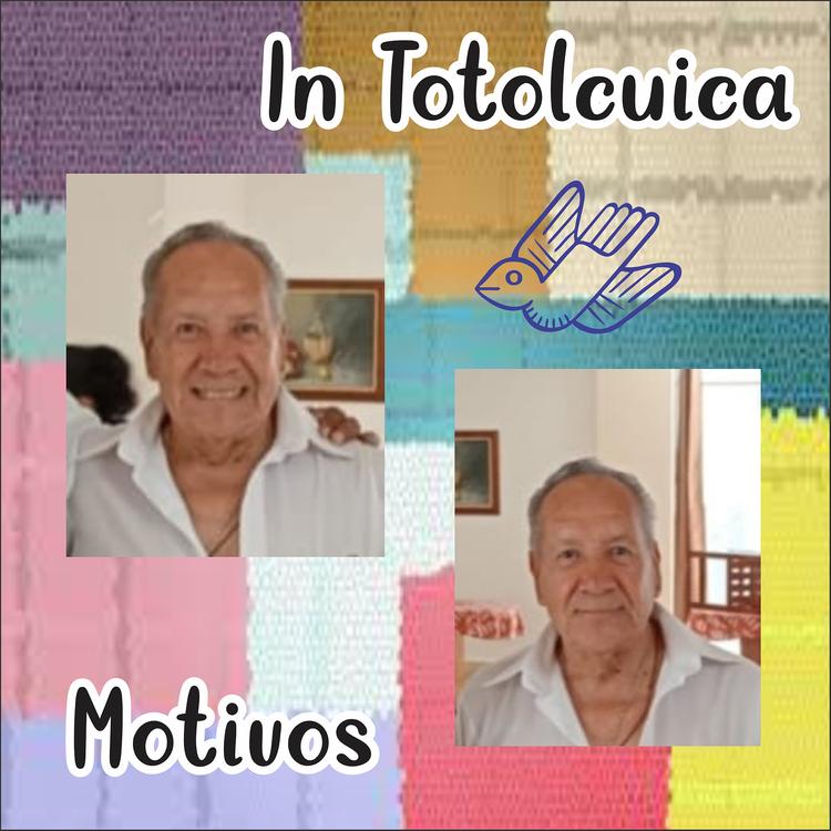 In Totolcuica's avatar image