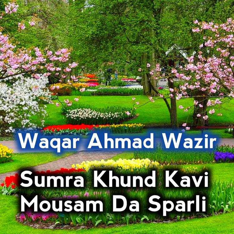 Waqar Ahmad Wazir's avatar image