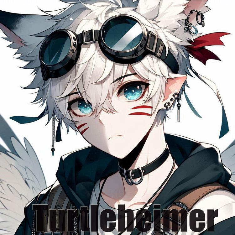 Turtleheimer's avatar image