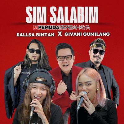 Sim Salabim's cover
