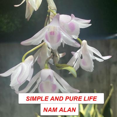 SIMPLE AND PURE LIFE's cover