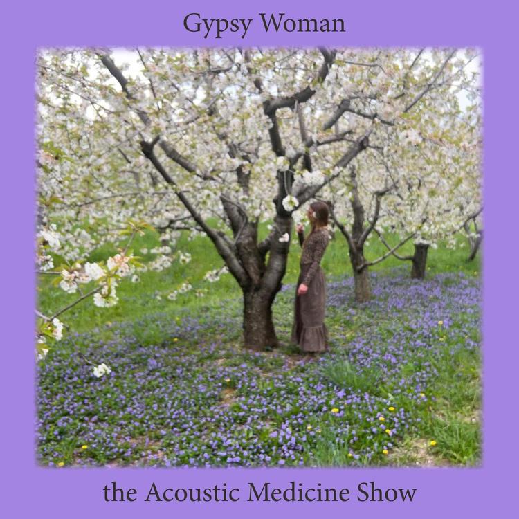 The Acoustic Medicine Show's avatar image