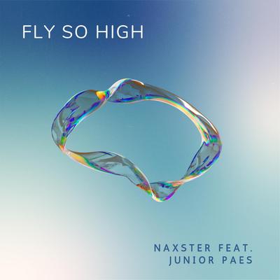 Fly so high's cover