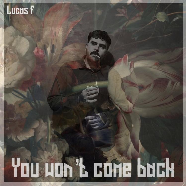 Lucas F's avatar image