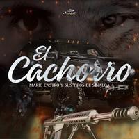 Mario Castro Y Sus Tipos De Sinaloa's avatar cover