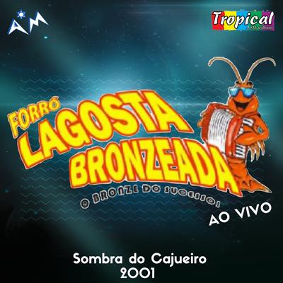 O Bronze do Sucesso - Sombra do Cajueiro - 2001 (Ao Vivo)'s cover