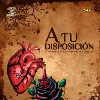 A Tu Disposición By La Original Banda El Limón de Salvador Lizárraga's cover