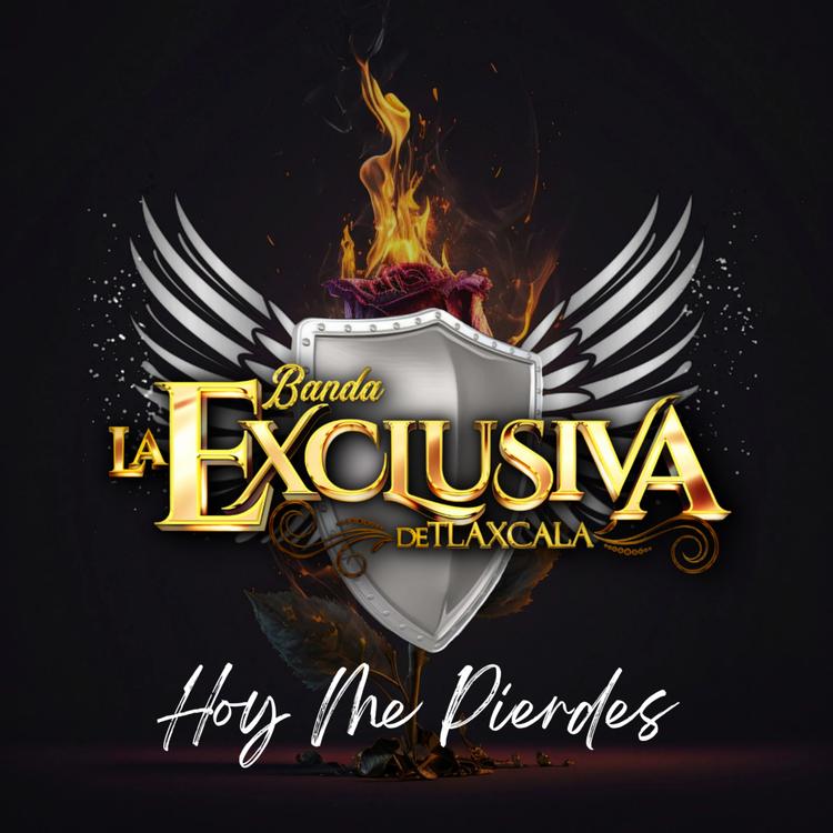 Banda La Exclusiva de Tlaxcala's avatar image