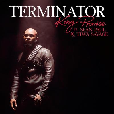 Terminator (Remix)'s cover