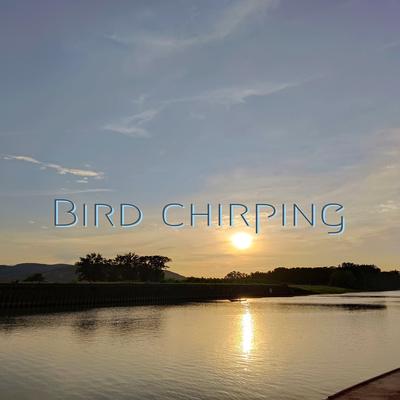 Bird Chirping's cover