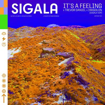 It's A Feeling (Sigala VIP Mix)'s cover