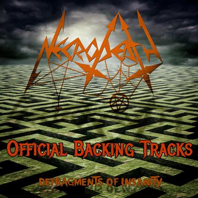 Defragments Of Insanity Backing Tracks's cover