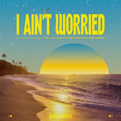 I Ain't Worried (feat. Chris Medina) By Chill Gull, DALEXO, Good Moon, Chris Medina's cover