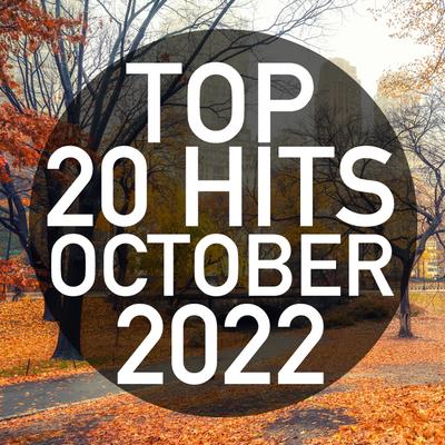 Top 20 Hits October 2022 (Instrumental)'s cover