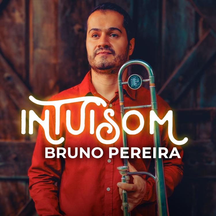 Bruno Pereira's avatar image