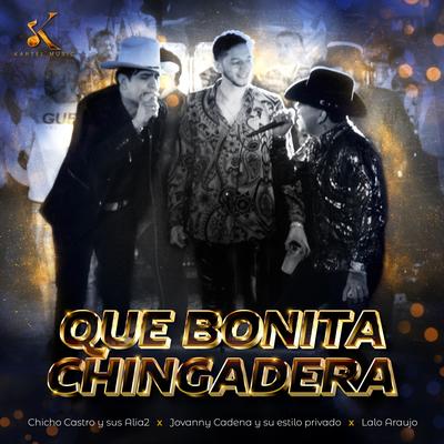 Que Bonita Chingadera (En Vivo)'s cover