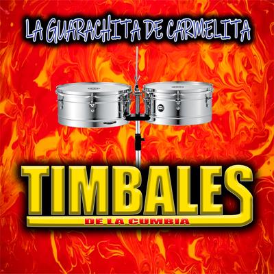 Pero la Recuerdo (Cumbia Santa Maria)'s cover