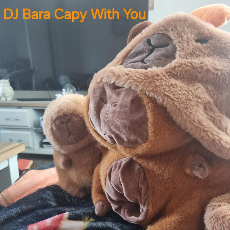 DJ Bara Capy's avatar image