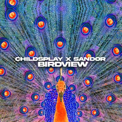 Birdview By ChildsPlay, Sandor's cover
