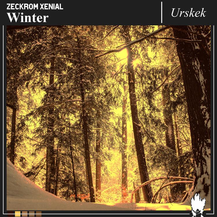 Zeckrom Xenial's avatar image