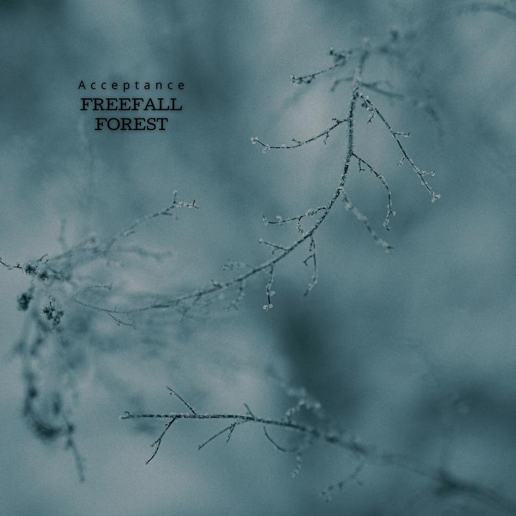 Freefall Forest's avatar image