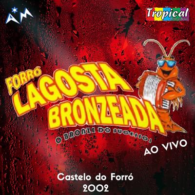 O Bronze do Sucesso - Castelo do Forró - 2002 (Ao Vivo)'s cover