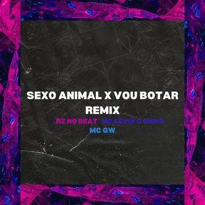 Sexo Animal X Vou Botar Remix's cover