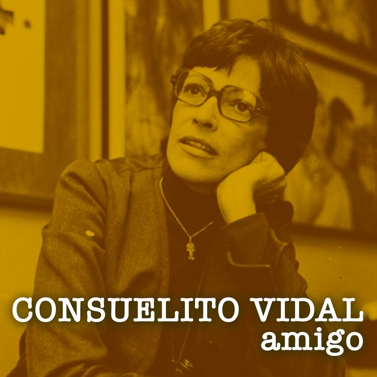 Consuelito Vidal's avatar image