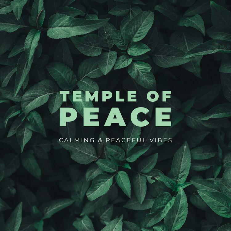 CALMING & PEACEFUL VIBES's avatar image