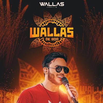 Dodoi de Amor (Ao Vivo) By Wallas Arrais, Luan Estilizado's cover