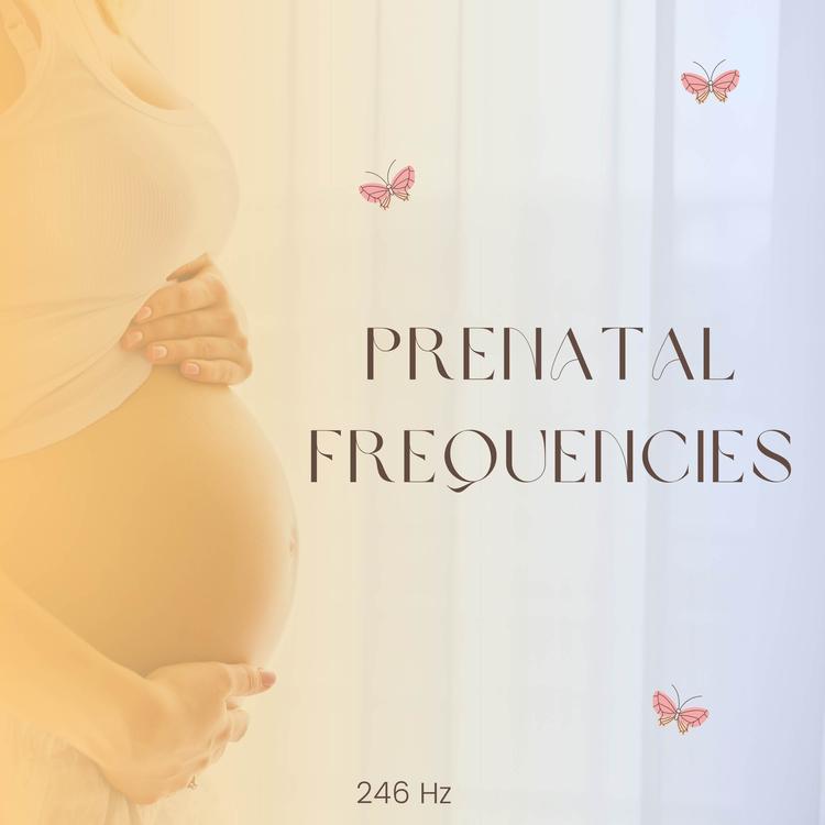 Prenatal Frequencies's avatar image