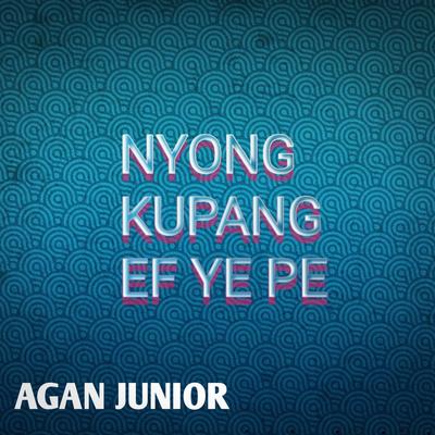 Agan Junior's cover
