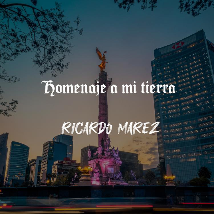 RICARDO MAREZ's avatar image