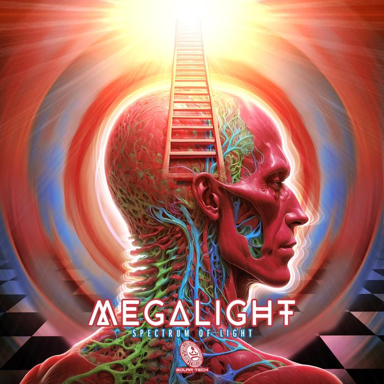 Megalight's avatar image