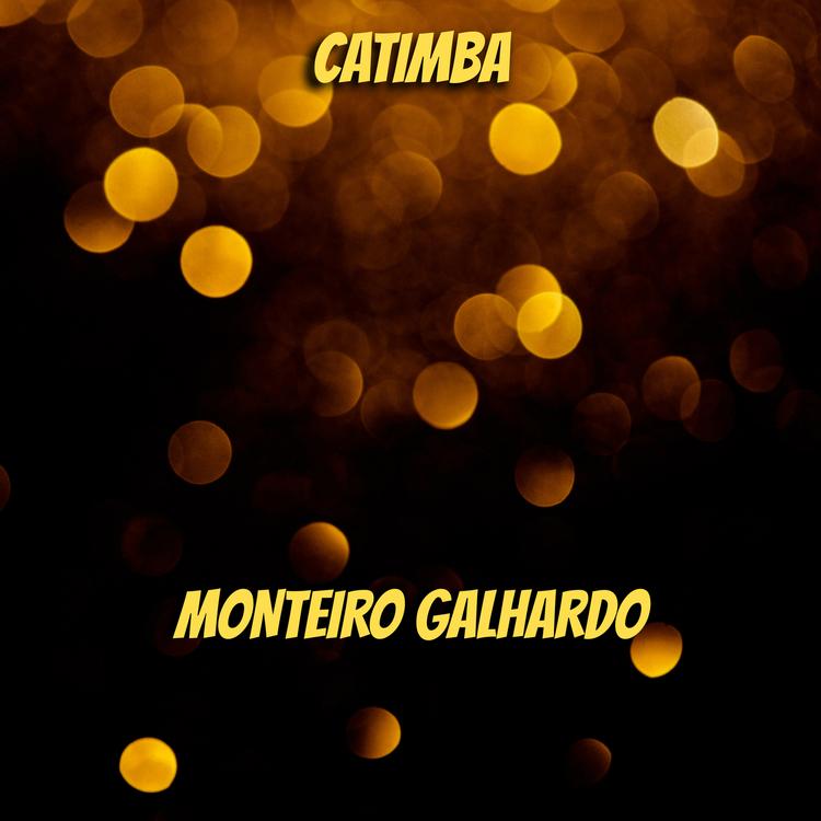 Monteiro Galhardo's avatar image