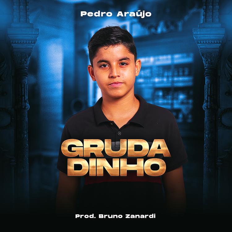 Pedro Araujo's avatar image