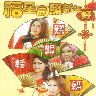 欢乐新春's cover