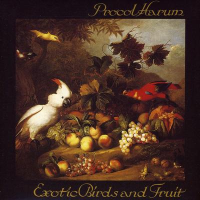 Exotic Birds and Fruit's cover