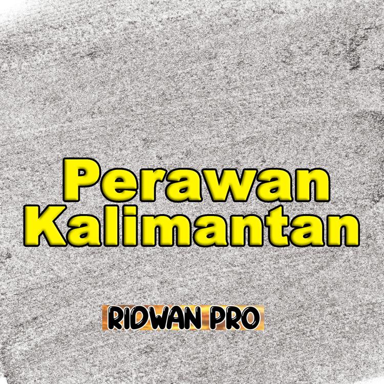 RIDWAN PRO's avatar image