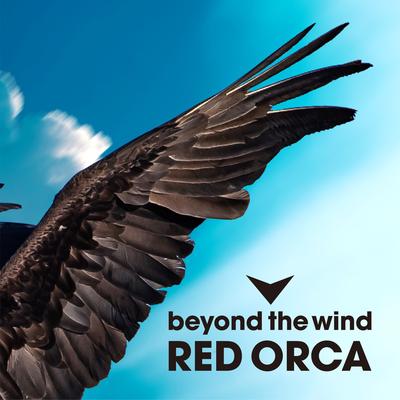 beyond the wind's cover