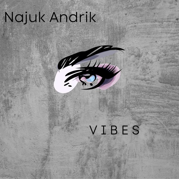 Najuk Andrik's avatar image