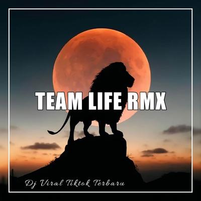 Team Life Rmx's cover