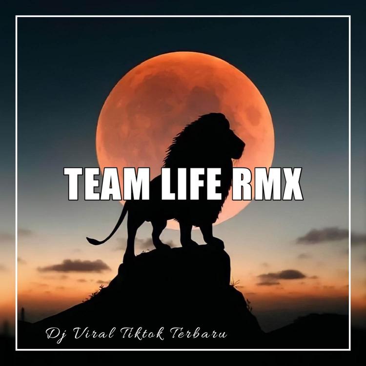 Team Life Rmx's avatar image