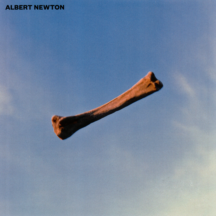 Albert Newton's avatar image