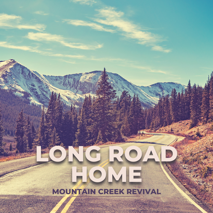 Mountain Creek Revival's avatar image