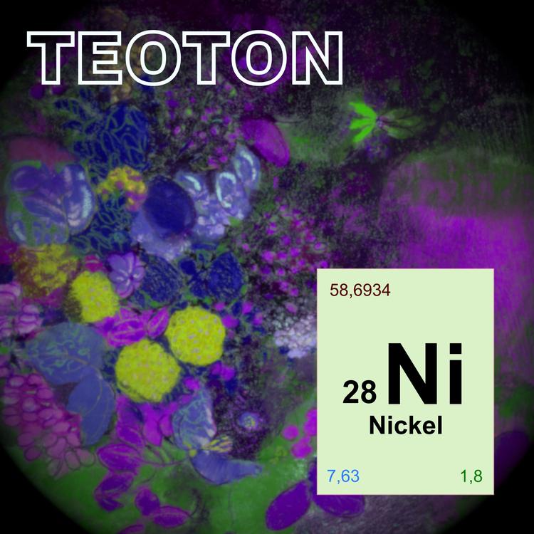 Teoton's avatar image