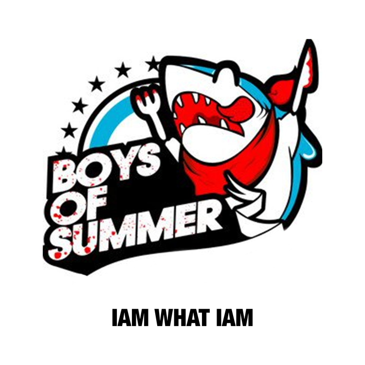 Boys Of Summers's avatar image