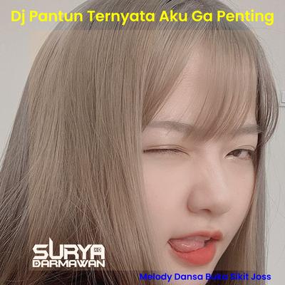 Dj Pantun Ternyata Aku Ga Penting X Melody Dansa Buka Sikit Joss's cover